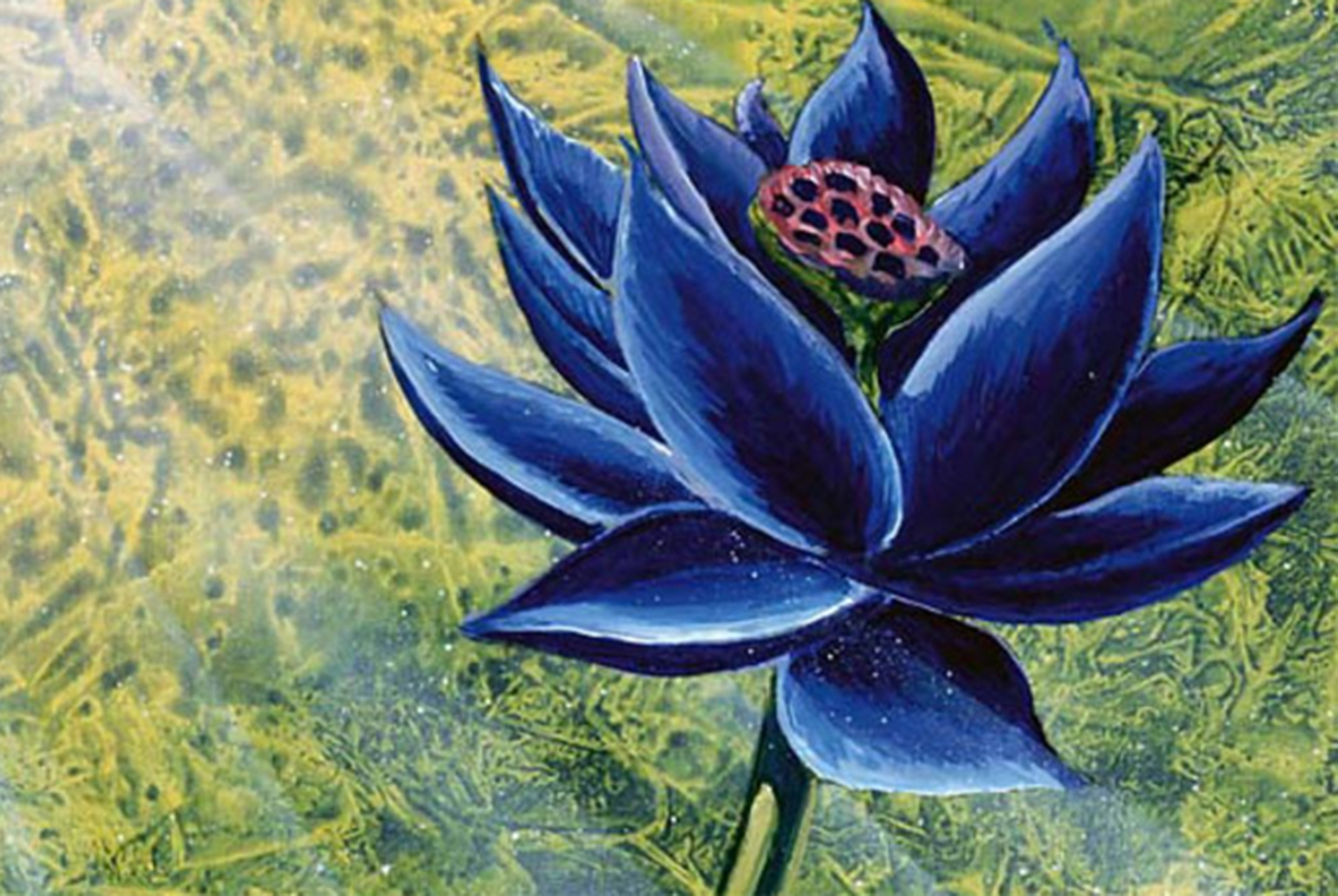 A black lotus in a green field, with light streaming in from the upper right corner.